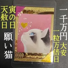自作ぬいぐるみ うるうるにゃんこ 無属性 - メルカリ