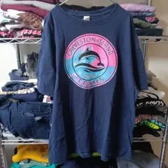 90sヴィンテージXL水族館イルカネイビーブルー紺tシャツUSA直輸入メンズ古着