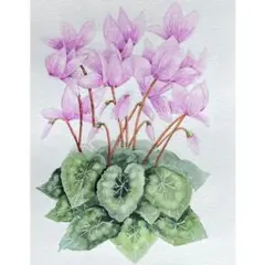 ちょび様 リクエスト 2点 まとめ商品