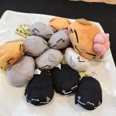 2025年最新】ねむネコぬいぐるみの人気アイテム - メルカリ