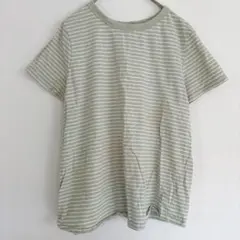 SONOMA オーガニックコットン Tシャツ Mサイズ　ボーダー カジュアル