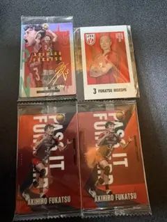 バレーボール男子 日本代表 深津セット