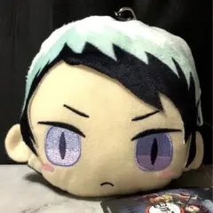 鬼滅の刃　愈史郎　ぬいぐるみ　フェイス　ポーチ　パスケース　タグ付き　希少