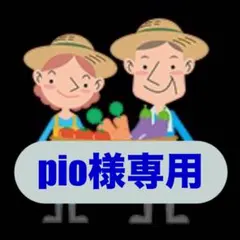 pio様専用 淡路島産新玉ねぎ 秀品3kg 茎付きスーパーアップ 高糖度 夢玉