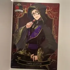 トレイクローバー 3枚セット