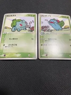 ポケモンカード】フシギダネ フシギソウ セット マスターキット 美品