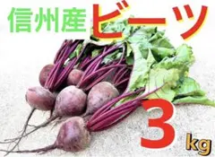 【信州産ビーツ】20kg 【有機肥料使用・化学農薬不使用】 信州産ビーツ】5kg 【有機肥料使用・化学農薬不使用】 - メルカリ