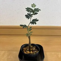 yuki様 リクエスト 3点 まとめ商品