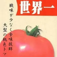 2026年最新】トマト大事典の人気アイテム - メルカリ