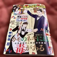 グランドジャンプ　No.19