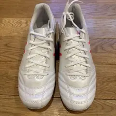 【新品】DSライト プロ AG　ホワイト×ディーバピンク