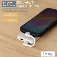 USB Type-C to Type-C ケーブル 60W 未開封
