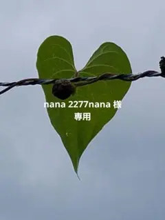 nana 2277nana 様専用です⭐
