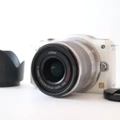 2026年最新】dmc-gf5の人気アイテム - メルカリ