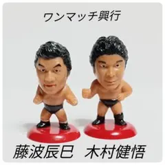 プロレス フィギュア プロ格ヒーローズ 藤波 辰巳 木村 健悟 ワンマッチ興行のサムネイル