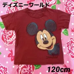 アメリカ⚪︎ディズニーワールド⚪︎ミッキーマウス⚪︎Tシャツ⚪︎ヘインズ⚪︎120cm