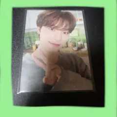 SEVENTEEN HOME プルオーバートレカ ディノ