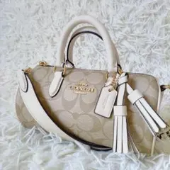 【美品】COACH レーシ シグネチャー 2WAY ミニバッグ ショルダーバッグ