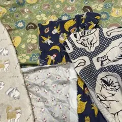 Item thumbnail for item 2429622d-77ca-4487-85fe-22fc6011ae6a