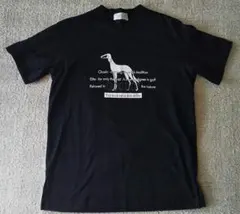 Item thumbnail for item b6c0b359-d664-41f3-afb7-5796884e405d