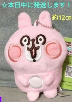 2025年最新】カナヘイ うさぎ ぬいぐるみの人気アイテム - メルカリ