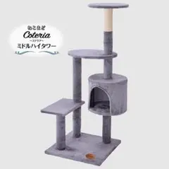 Item thumbnail for item 17472760-7f57-4dd5-8b56-f03417f923b5