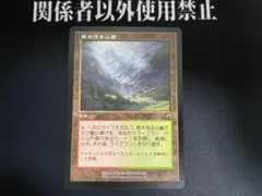 2026年最新】フェッチランドの人気アイテム - メルカリ