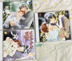 【再値下】やすらかな夜のための寓話　たおやかな真情　はなやかな哀情　3枚セット