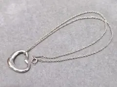 TIFFANY ティファニー ネックレス アンジェラカミング フェザームーン
