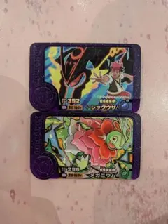 ポケモンフレンダ ベストタッグ第5弾 レックウザ メガニウム