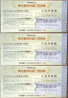 Bunkamura ザ・ミュージアム ル・シネマ 五島美術館 優待共通招待券3枚