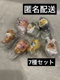 スキズ SKZOO つまんでつなげてますこっと vol.2 7種　セミコンプ