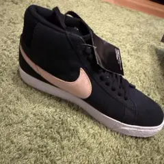 Item thumbnail for item 0069240b-103d-4159-9420-f2f2c833865d