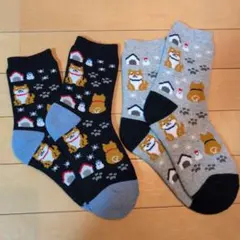 【柴犬】レディース　靴下　2足セット　あったか　総パイル編み　23-25㎝