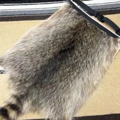 2026年最新】尻当 毛皮の人気アイテム - メルカリ