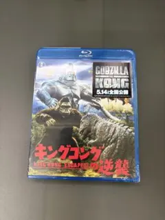 Item thumbnail for item c7610390-8698-46df-be54-968b3cf9e017