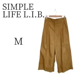 Item thumbnail for item a348dc41-6947-46c4-b866-1c1310f3fc3c