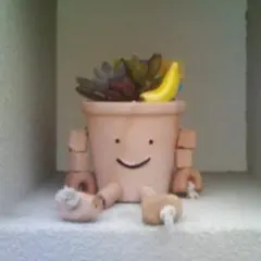 ナリここたん様専用