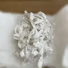 DIORロゴ入り緩衝材セット