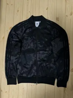 Item thumbnail for item 76585a9d-91fa-4279-bc3b-08e62d521ee1