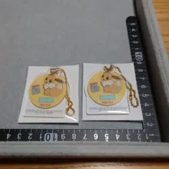 イーブイ2個 アクリルチャーム 一番くじポケモン アクキー アクリルキーホルダー