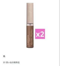 CANMAKE キャンメイク　アイカラーマジシャン 01 x2 廃盤　人気商品