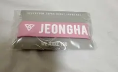 SEVENTEEN ジョンハン バパケ バースデーパッケージ キーホルダー