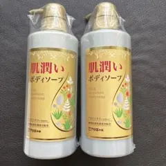 新品未開封 アロポアン ボディソープ 業務用 2個セット 新品未開封 アロポアン ボディソープ 業務用 2個セット - メルカリ