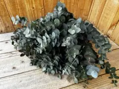 pp...様 リクエスト 2点 まとめ商品