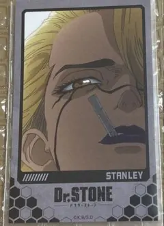 Dr.STONE オンラインくじ 缶バッジ 長方形 スタンリー - メルカリ