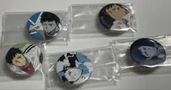 家庭教師ヒットマンREBORN! 山本武 缶バッジ 5点セット