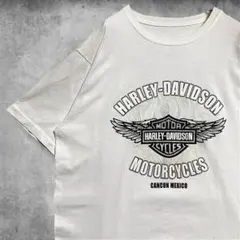 Item thumbnail for item 302a55f8-6677-4376-a997-25f01098f7a8