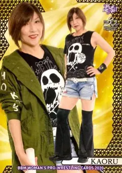 Item thumbnail for item 9a064761-9bbc-4f8b-b57b-65b05dc0222c