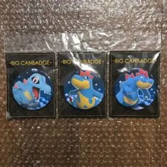 ポケモンセンター 缶バッジコレクション ジョウト編 ライバル&ワニノコ